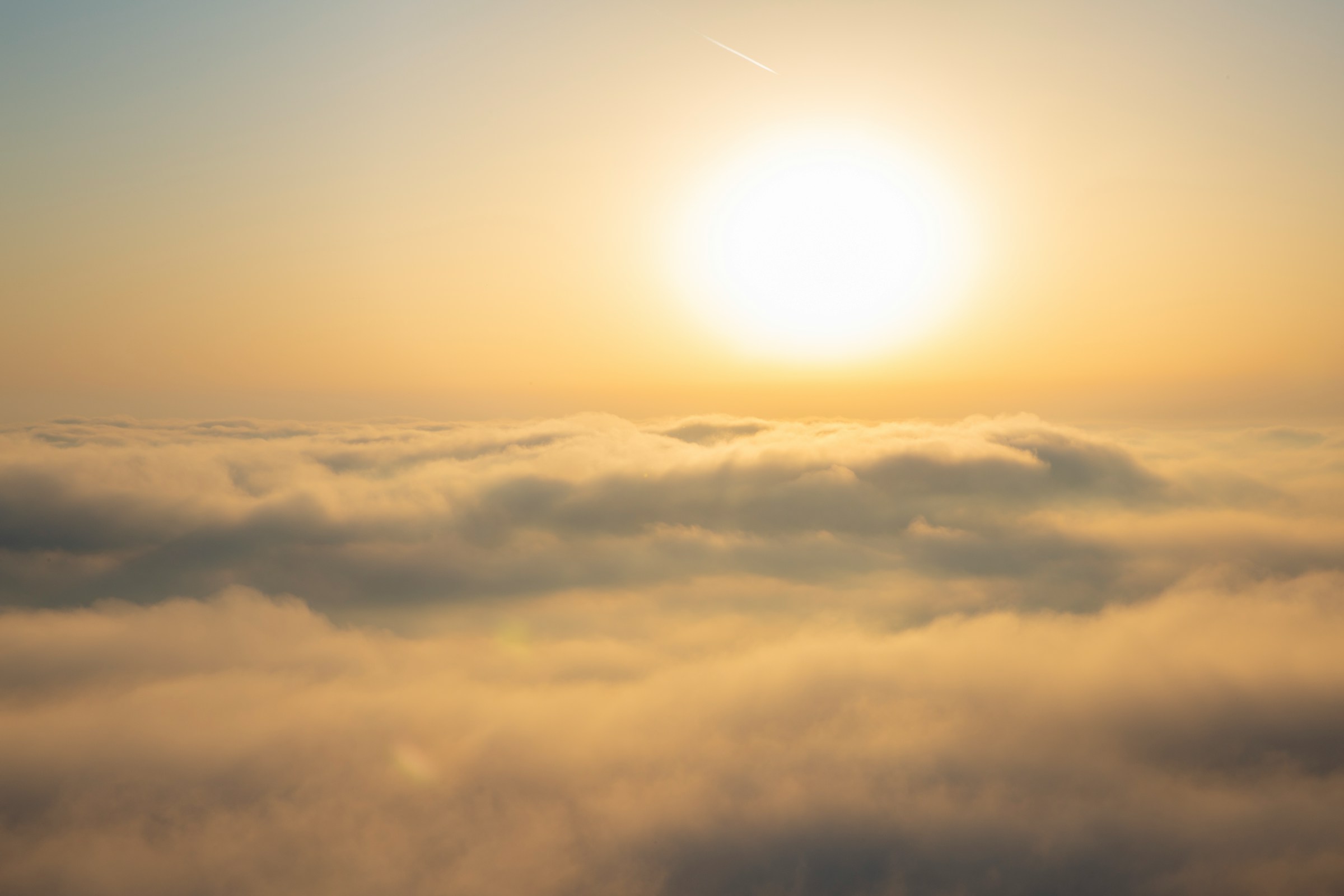 Choice for Consciousness